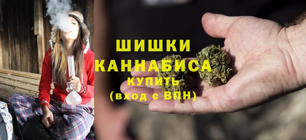соль ск Богданович